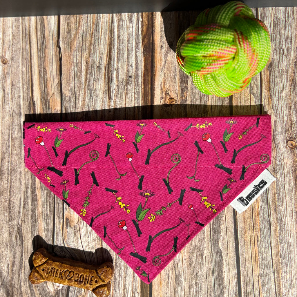 Sprouted Over the Collar Bandana