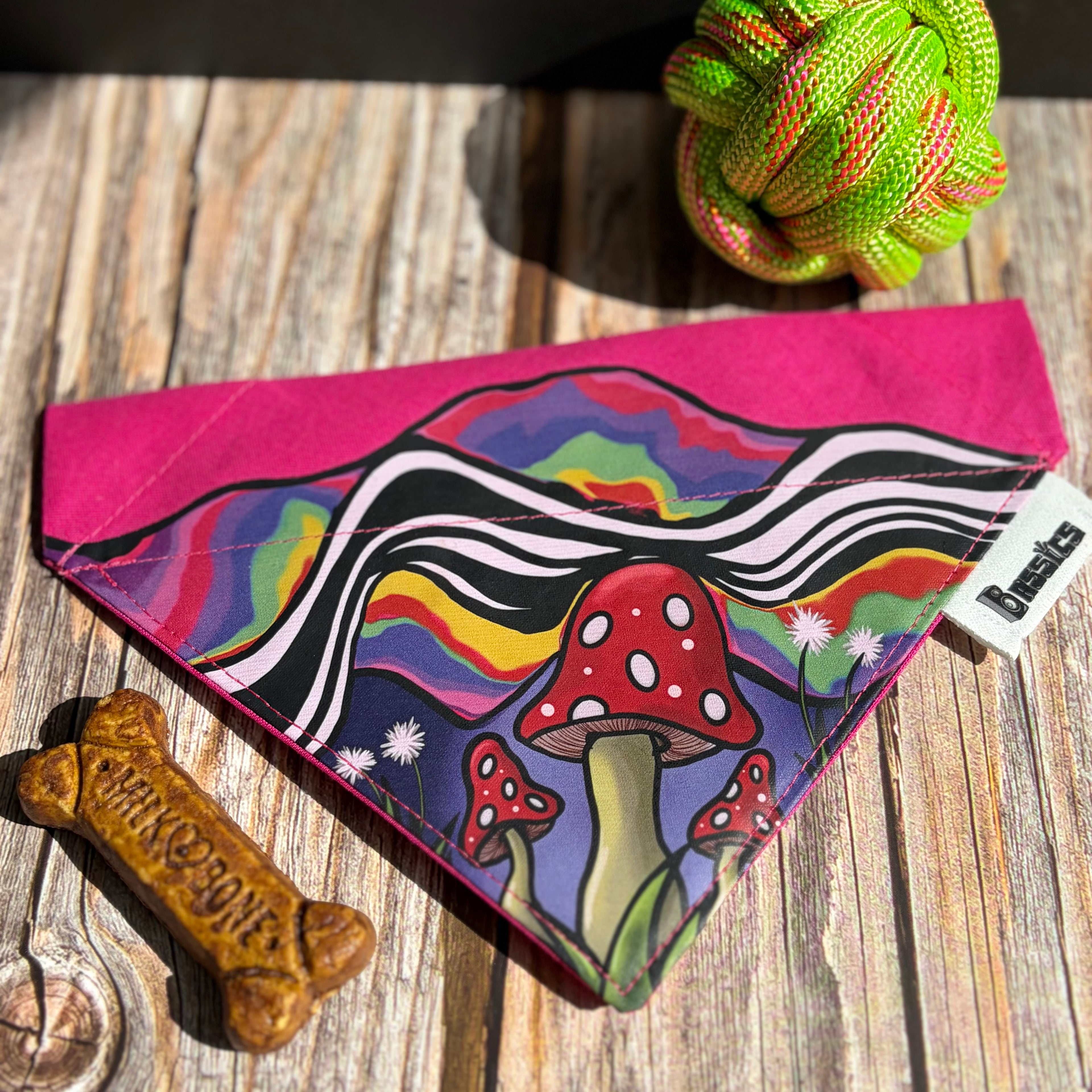 Day Trip Over the Collar Bandana