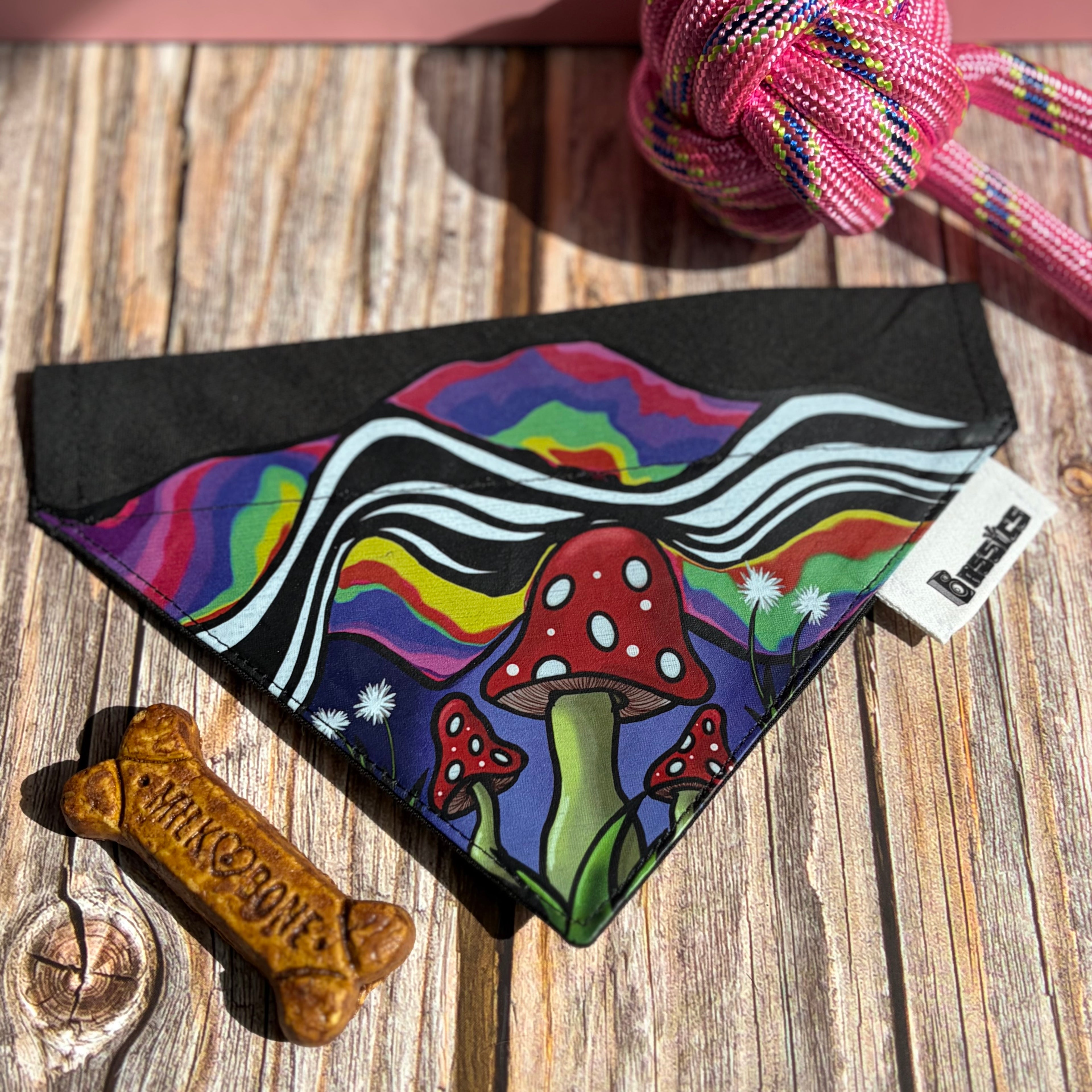 Day Trip Over the Collar Bandana