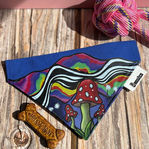 Day Trip Over the Collar Bandana