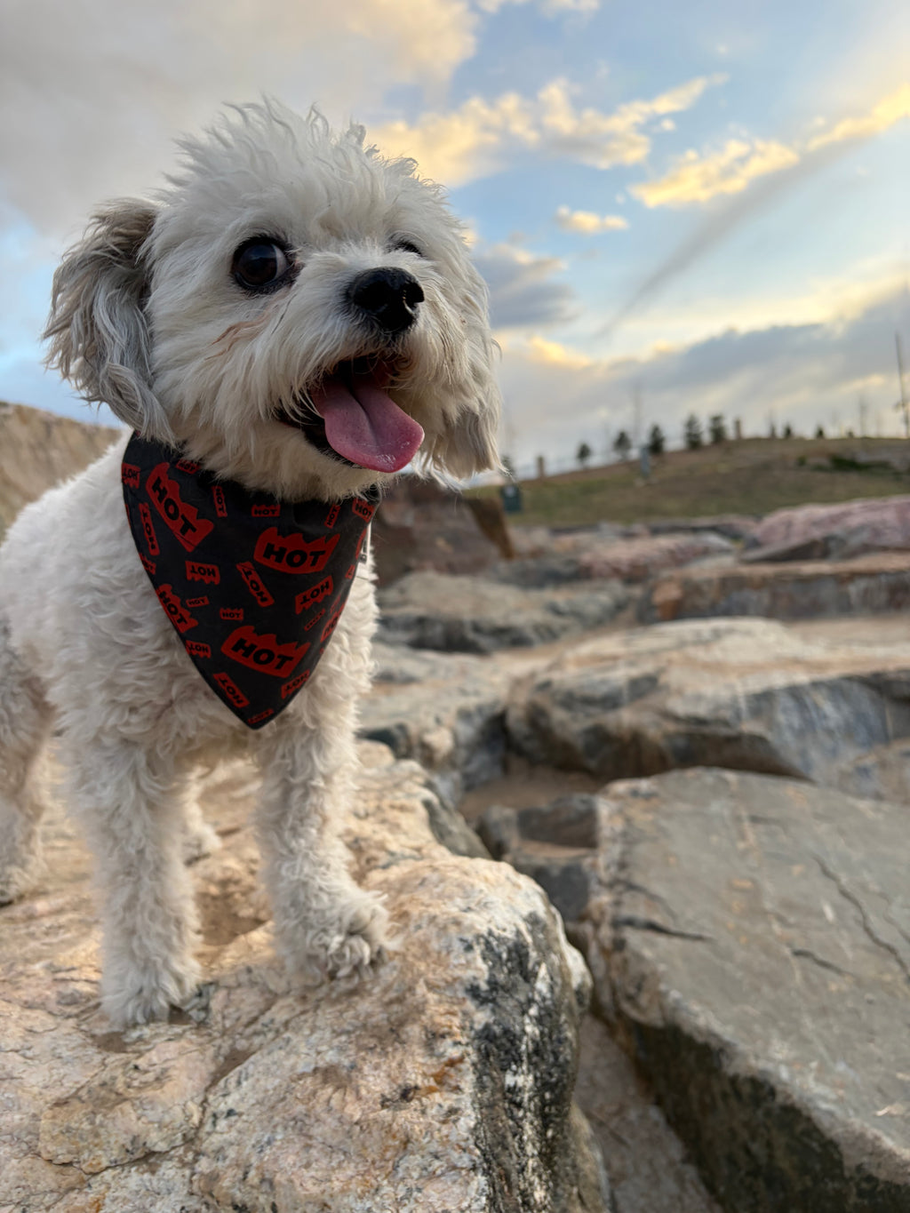 Hot Sticker Over the Collar Bandana