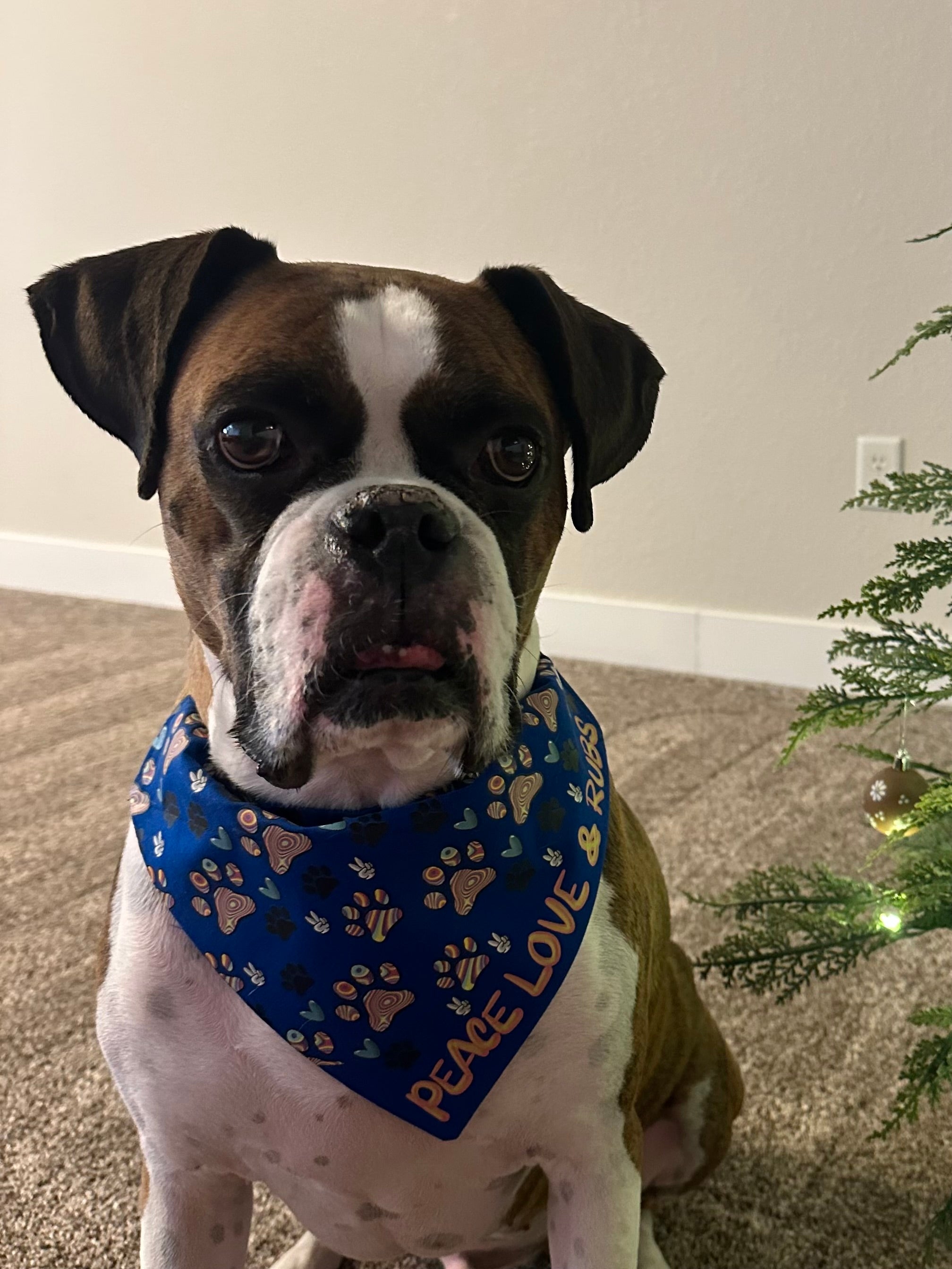 Peace Love & Rubs Over the Collar Bandana