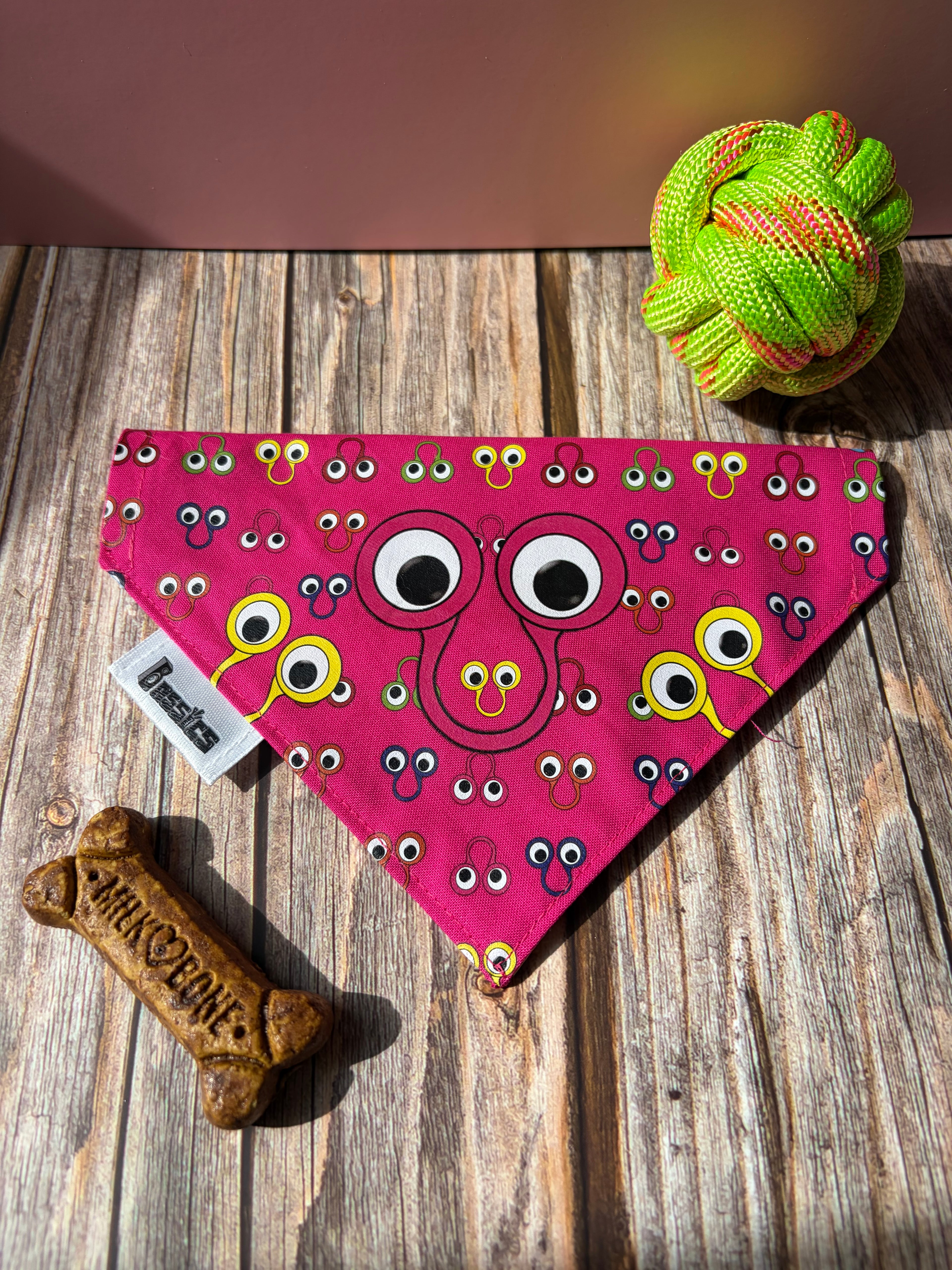 I Saw That - Over the Collar Dog Bandana
