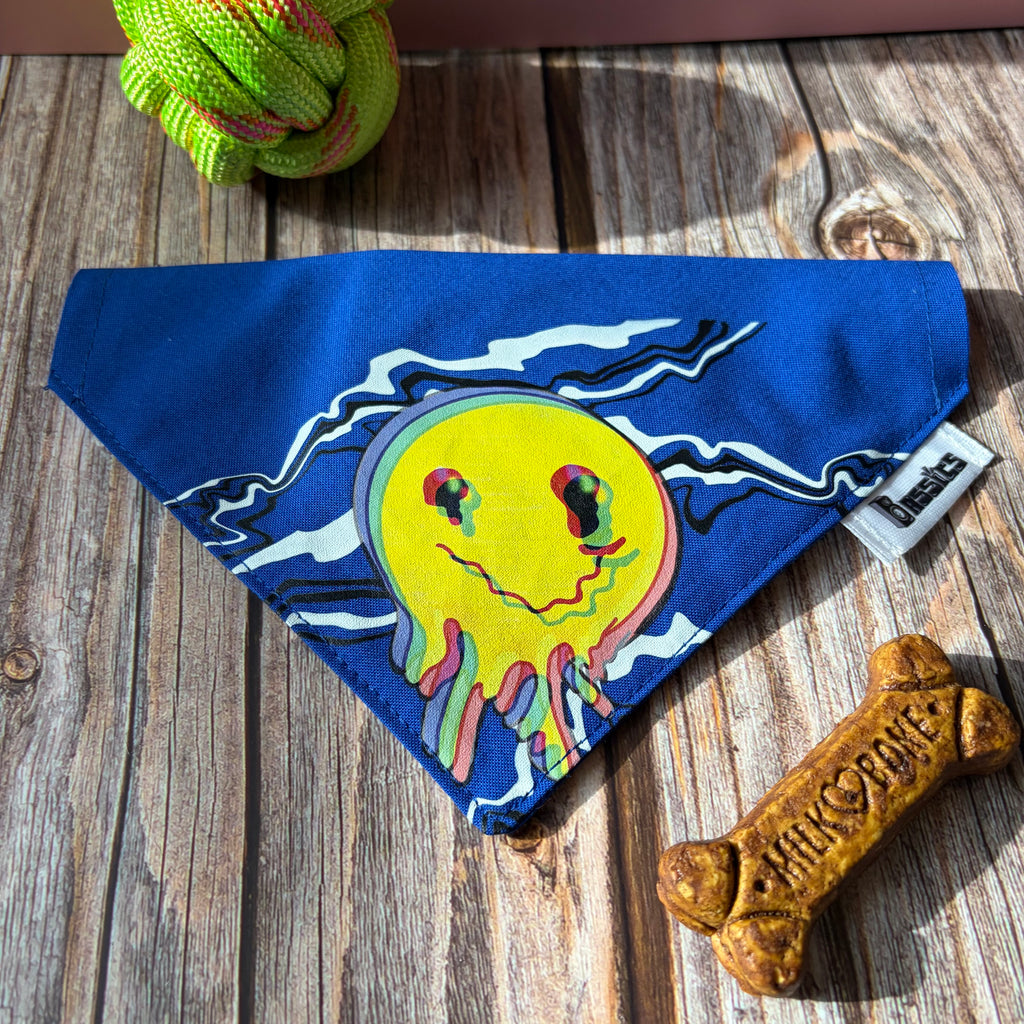 Feelin Dizzeh Over the Collar Bandana