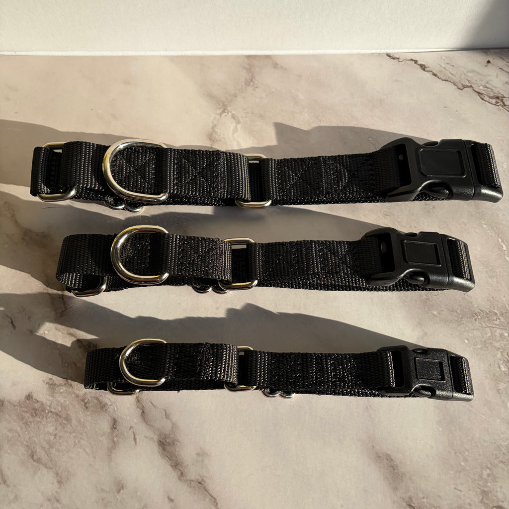 Martingale Dog Collar
