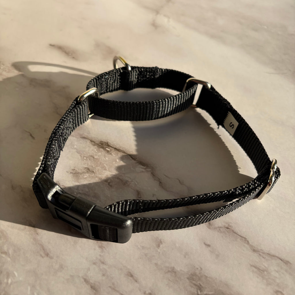 Martingale Dog Collar
