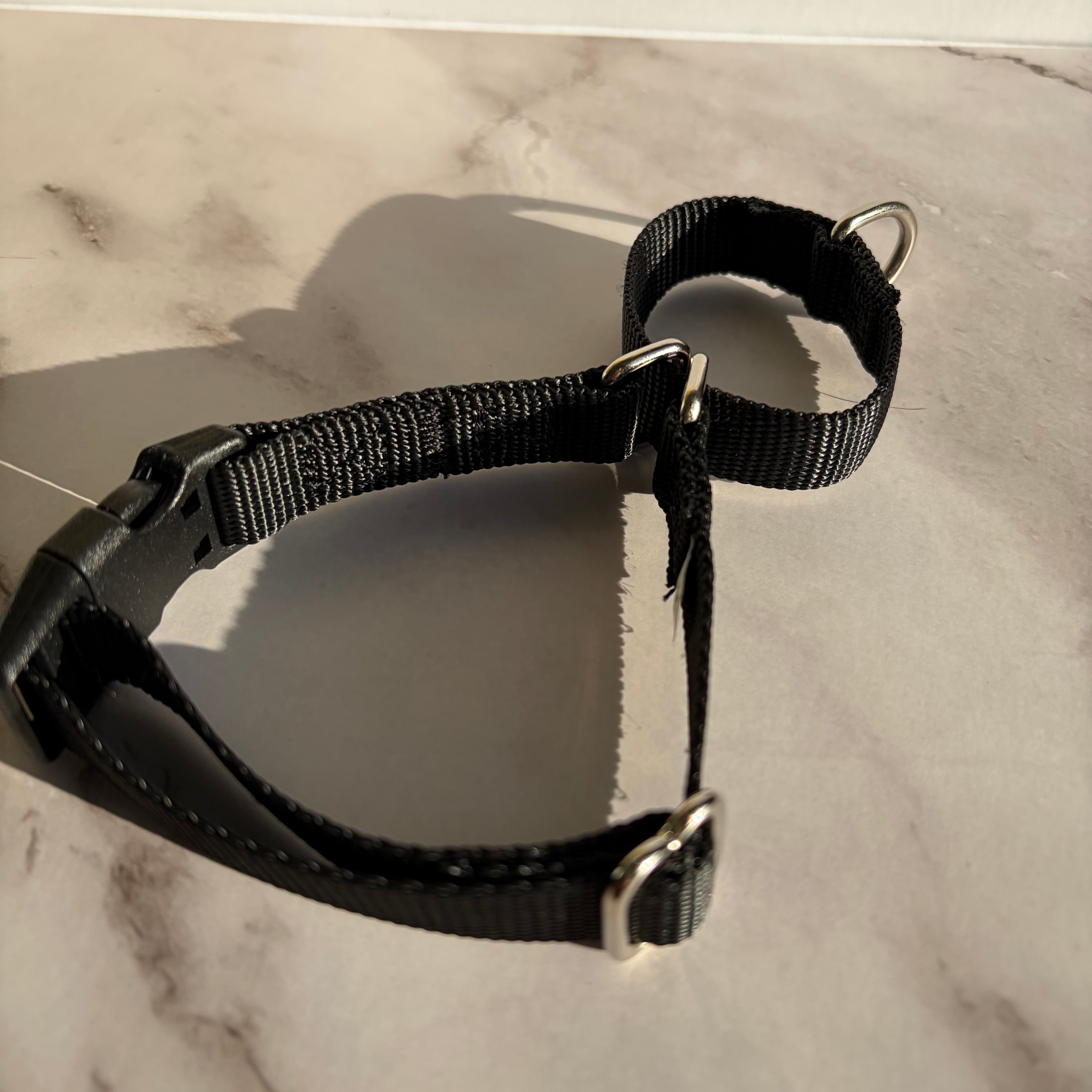 Martingale Dog Collar